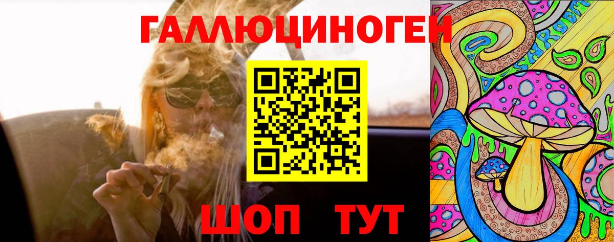 Галлюциногенные грибы Psilocybine cubensis  Вход с VPN  Туапсе  Псилоцибиновые грибы Psilocybe 