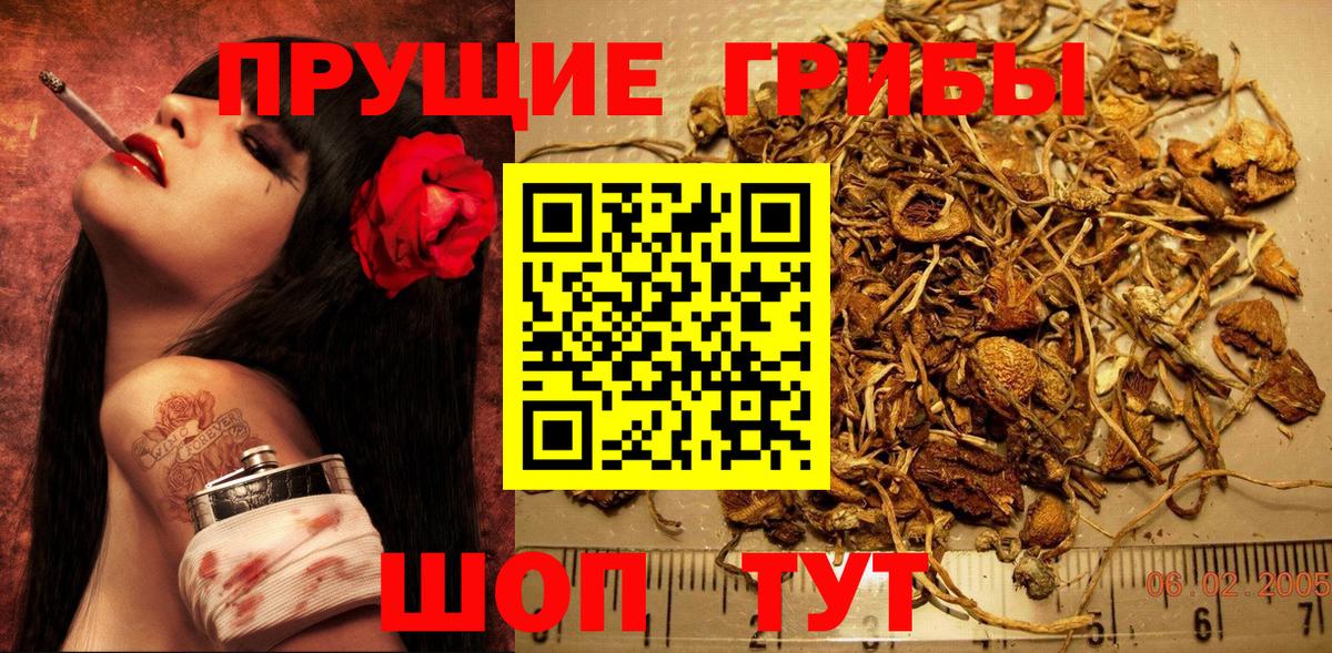 Галлюциногенные грибы мицелий Туапсе